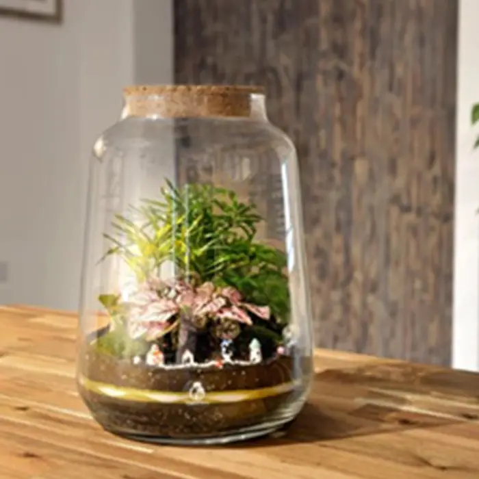Indoor Vase fir Planzen