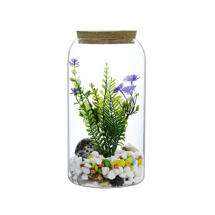 Indoor Plant Recycléiert Glas