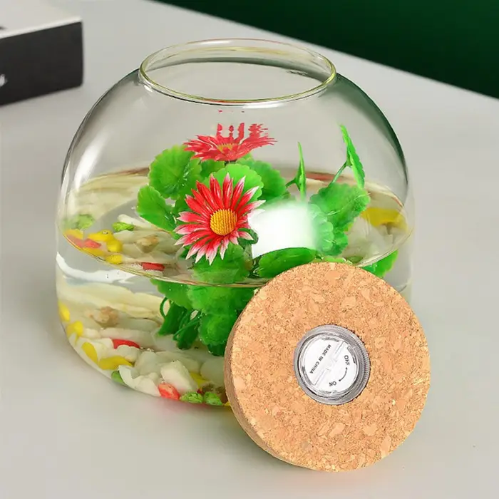 Bình thủy tinh Terrarium