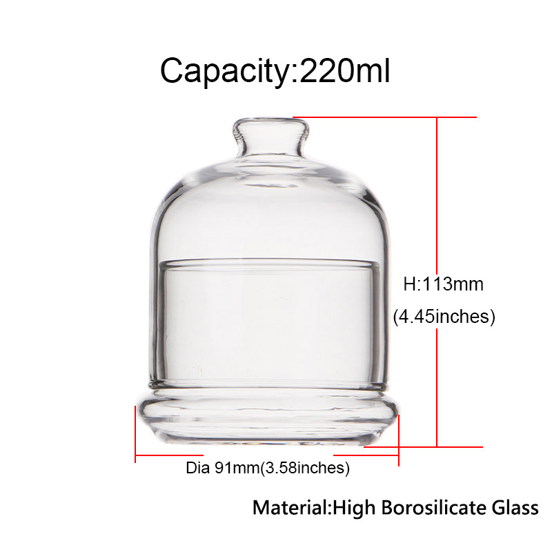 small glass dome sizes